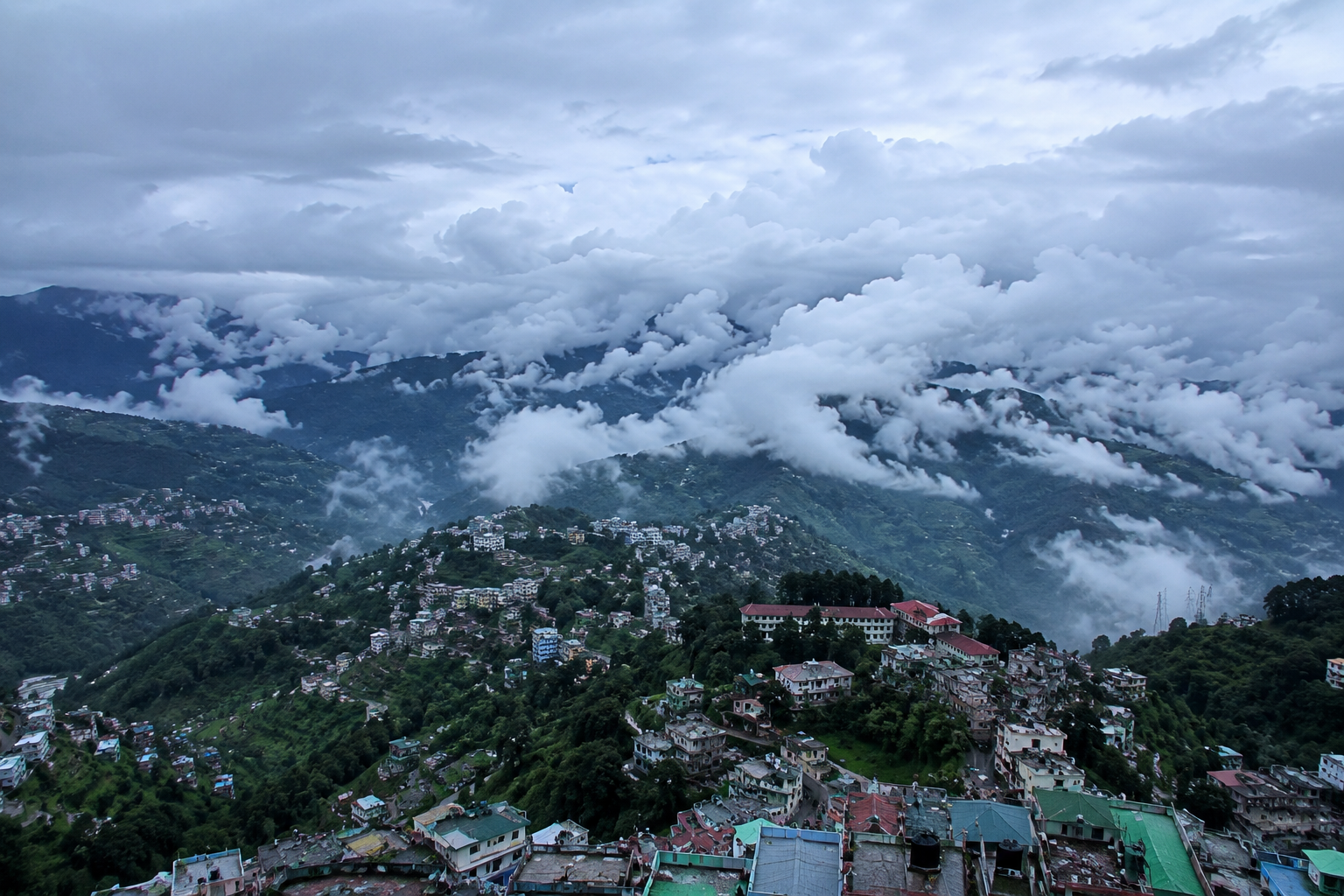 Solan 